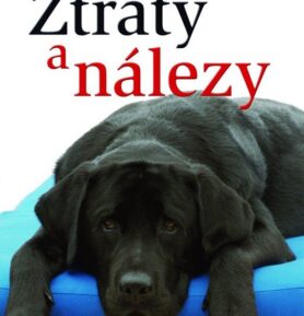 Ztráty a nálezy - MF - Jacqueline Sheenanová