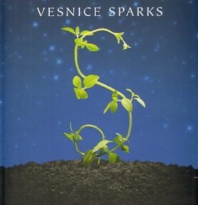 Vesnice Sparks - DuPrau Jeanne