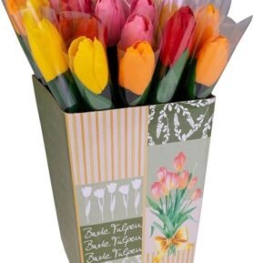 Accentra - Mýdlová růže na stonku Mýdlový tulipán na stonku 1x4g Barva: Červená