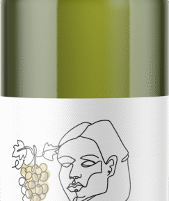 Vinnio Winery Rulandské šedé suché, 0,75l