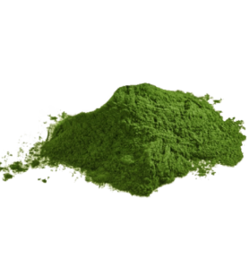 LifeLike Chlorella prášek, 100g