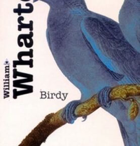 Birdy - William Wharton
