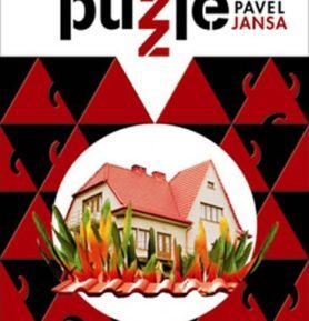 Ďábelské puzzle - Pavel Jansa