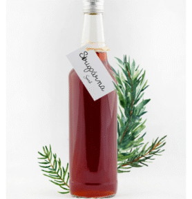 Sirupárna Smrkový sirup, 100ml