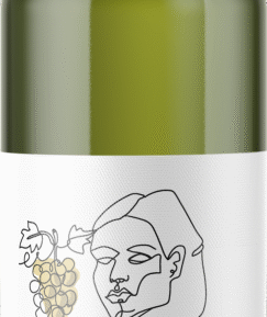 Vinnio Winery Sylvánské zelené 2022 suché, 0,75l
