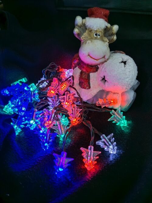 DZL Solární řetěz 40 LED Stromečky, různé barvy Barva: RGB - barevná