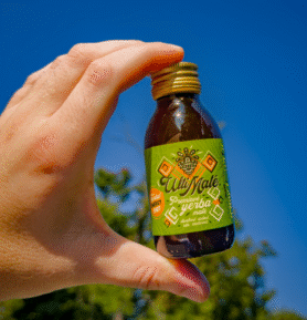 Nápoje lásky Ultimaté –⁠ elixír z yerba maté, 100ml