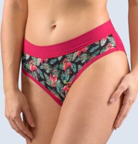 Dámské kalhotky klasické GINA 10268P bordo lahvová M/L
