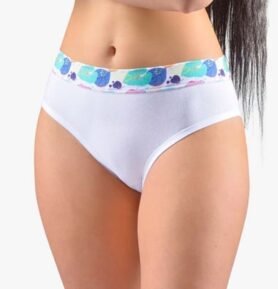 Dámské klasické kalhotky GINA 10270P bílá atlantic S/M