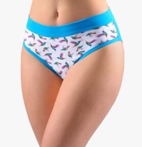 Dámské klasické kalhotky GINA 10271P dunaj fialová XL/XXL