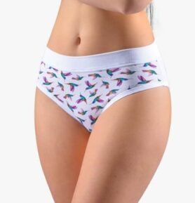Dámské klasické kalhotky GINA 10271P bílá fialová L/XL