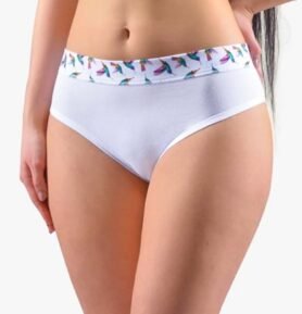 Dámské klasické kalhotky GINA 10272P bílá fialová L/XL