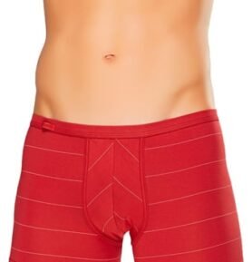 Pánské boxerky Body&Soul 10/1-13/74 FABIO vínová světlá XL