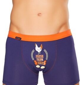 Pánské boxerky Fun 17/1-19/E194 slepice FABIO modrá XL