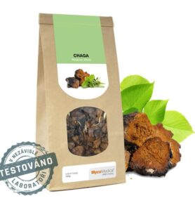 MycoMedica Chaga sušená