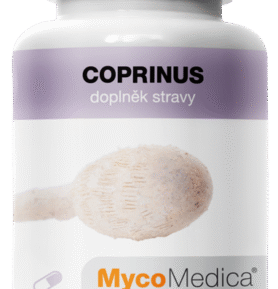 MycoMedica Coprinus