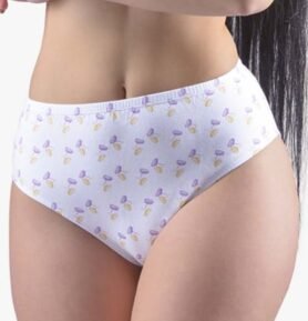 Dámské klasické kalhotky ve větších velikostech GINA 11083P bílá tm. fialová L/XL