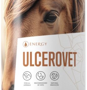 Energy Ulcerovet