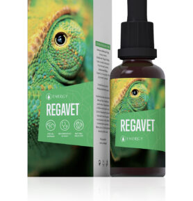 Energy Regavet bylinný koncentrát 30ml