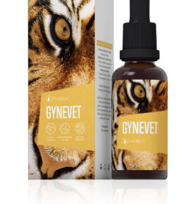 Energy Gynevet bylinný koncentrát 30ml