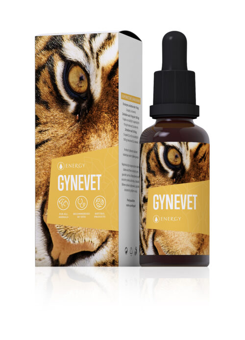 Energy Gynevet bylinný koncentrát 30ml