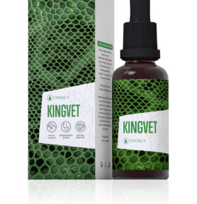 Energy Kingvet bylinný koncentrát 30ml