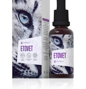 Energy Etovet bylinný koncentrát 30ml