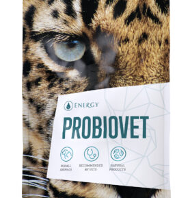 Energy Probiovet 90tbl.