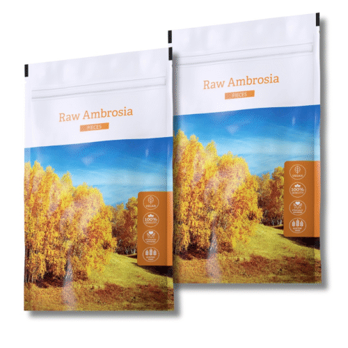 Energy Raw Ambrosia Pieces set 2 x 100g