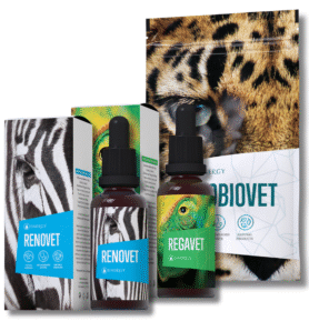 Energy Regavet – Renovet – Probiovet