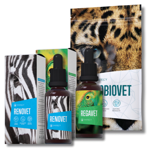 Energy Regavet – Renovet – Probiovet