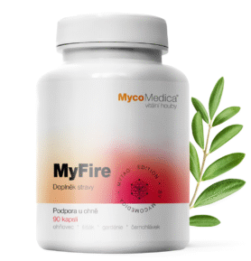 Mycomedica MyTao MyFire 90 kapslí