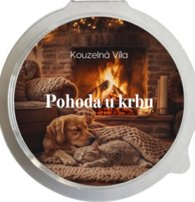 Kouzelná Víla - POHODA U KRBU Sójový vonný vosk do aromalampy 20g