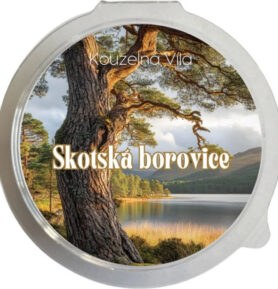 Kouzelná Víla - SKOTSKÁ BOROVICE Sójový vonný vosk do aromalampy 20g