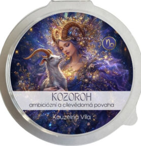Kouzelná Víla - KOZOROH Sójový vonný vosk do aromalampy 20g