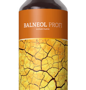 Energy Balneol Profi 1000ml