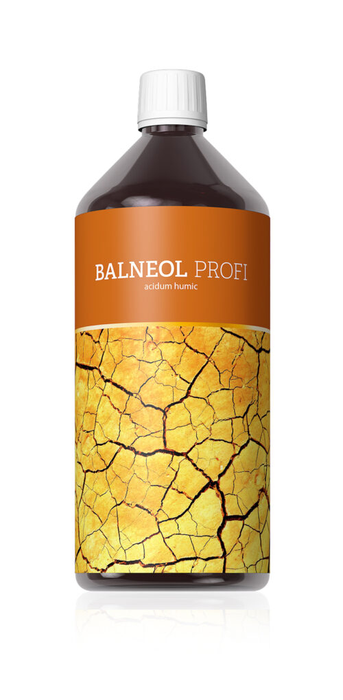 Energy Balneol Profi 1000ml