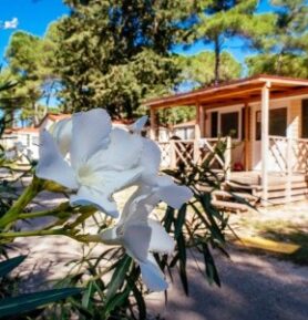 Zaton Holiday Resort