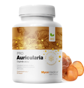 MycoMedica Auricularia PRO 90 kapslí