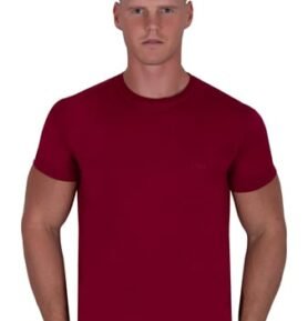 Pánské tričko 309 TDS bordo (vínová) L
