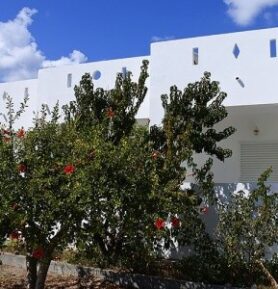 Prika Studios