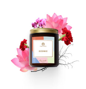 Ozonic – sójová svíčka 250 ml