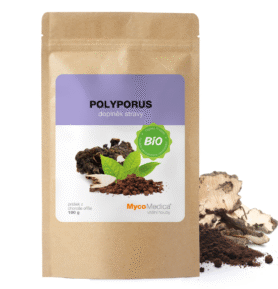 MycoMedica BIO Polyporus - prášek 100g