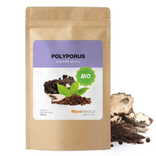 MycoMedica BIO Polyporus - prášek 100g