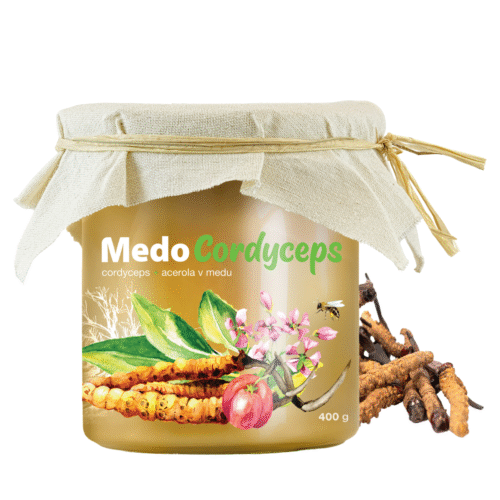 MycoMedica MedoCordyceps 400g