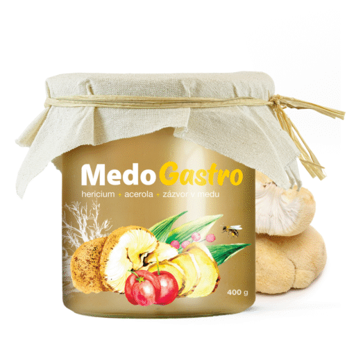 MycoMedica MedoGastro 400g