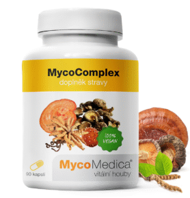 MycoMedica MycoComplex 90 kapslí