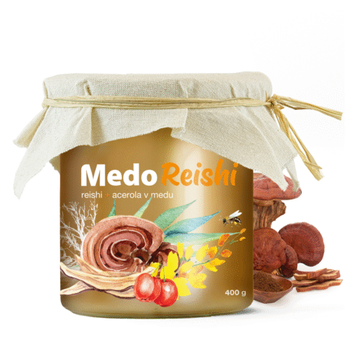 MycoMedica MedoReishi 400g