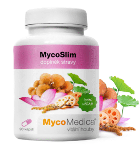 MycoMedica MycoSlim 90 kapslí