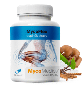 MycoMedica MycoFlex 90 kapslí
